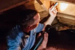 Attic Inspection