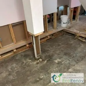 Water Damage in Basement