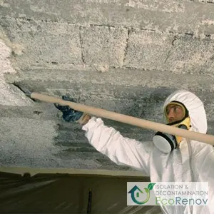 Asbestos Removal Project in Real Estate Transaction