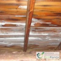 What to Do When There Is Frost in the Attic