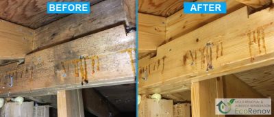 Attic mold removal works, Montreal, Laval, Longueuil