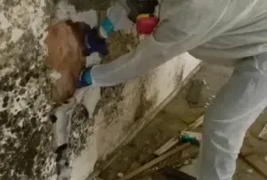 Demolition Business After Water Damage in Basement