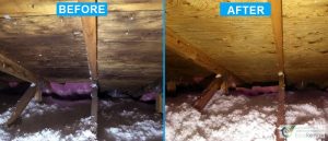 Mold Removal, Rosemere (Before/After)