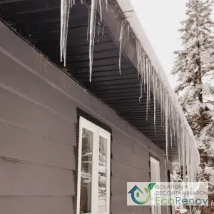 Risks Associated With Ice Dams on the Roof