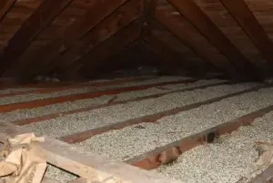 Why should I test the vermiculite in my attic or walls?